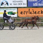 Vader Ulex van Stal oet Roôn