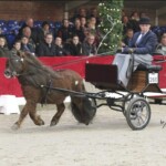 Garant van de Mortel reserve kampioen dekhengsten in tuig 2019 met Jan