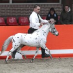 Sieger van Stal Anja