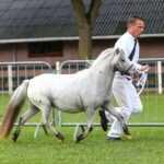 Beauty 1a premie NAS Keuring 2019